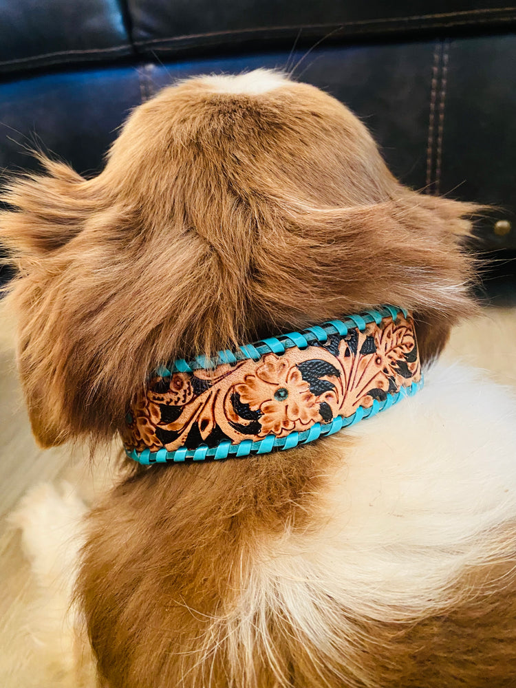 Turquoise Tooled Leather Dog Collar