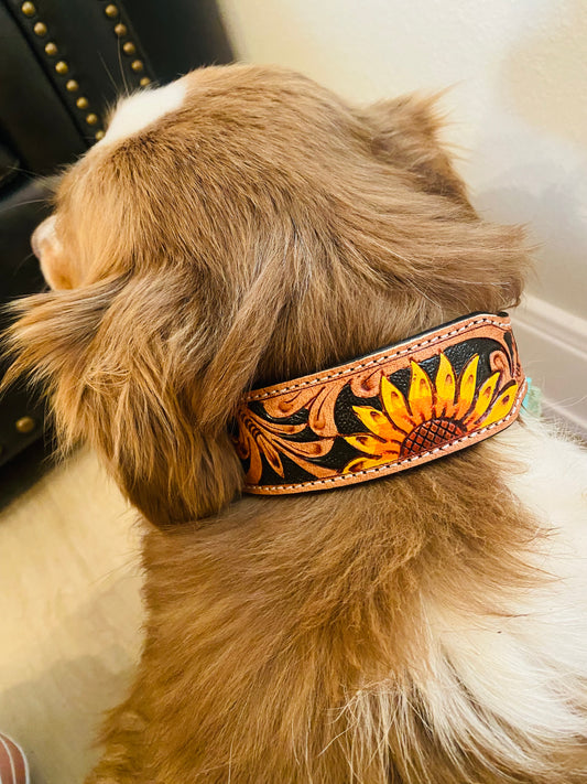 Sunflower Tooled Leather Dog Collar